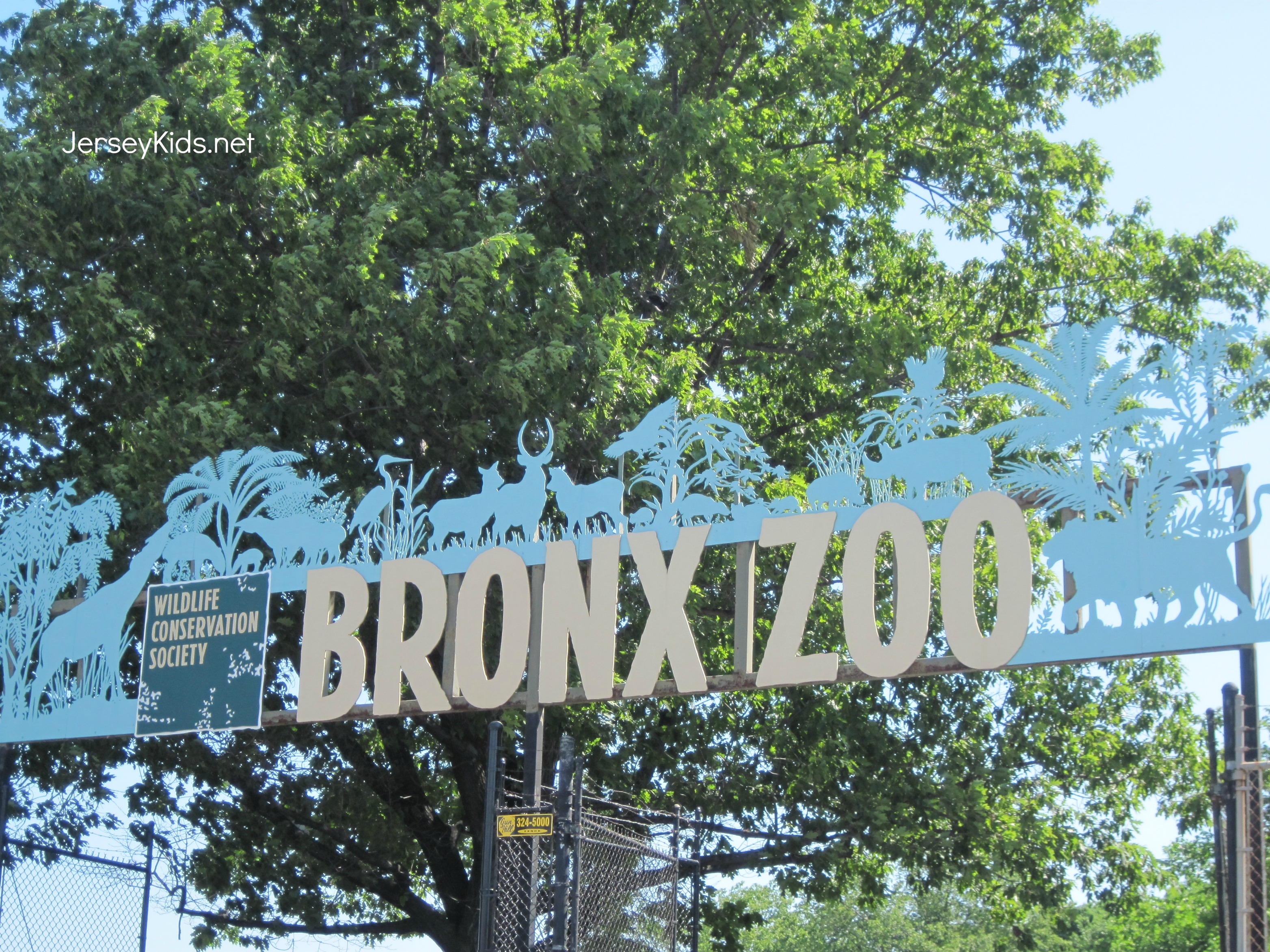 Bronx Zoo 1