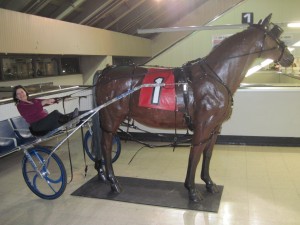 Jockey Debbie sitting in a sulky. Copyright Deborah Abrams Kaplan