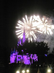 Fireworks at Magic Kingdom. Copyright Deborah Abrams Kaplan