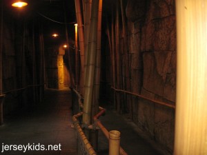 The FastPass line for Indiana Jones. That's right. there is no line!