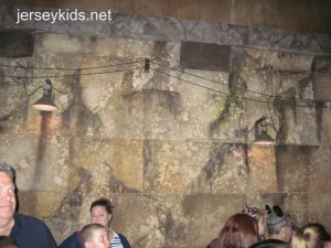 This one on Indiana Jones is VERY clever and hard to see without light. The flash captured it well, but I'd never know it was there without the book. It's in the room with the video, just before you're about to get on the ride.