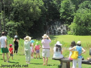 The waterfall went on/off like clockwork. The green area in front of the lawn is pond scum.