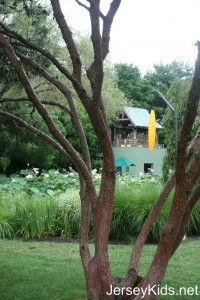 As always, sculpture were scattered around the area. The yellow thing is a lamp hanging from the tree, I believe, or at minimum, some kind of decoration. You can climb the gazebo for a nice view, and through the window at the bottom you can buy beer, nonalcoholic drinks and ice cream. 