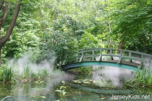 This is supposed to resemble Monet's garden and bridge - which it totally does. They pipe in the smoke/fog for effect.