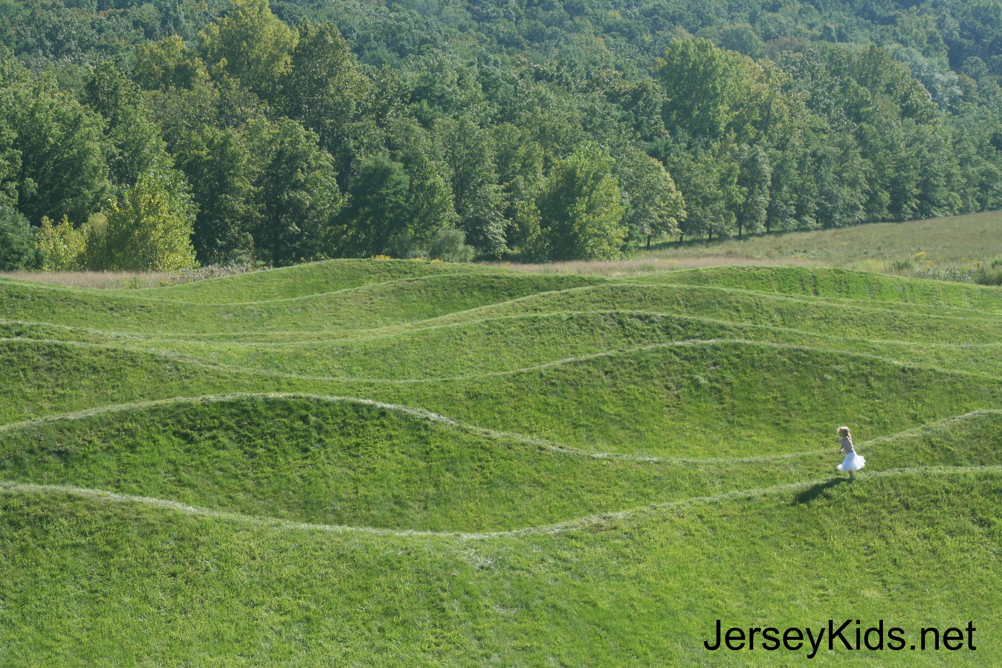 Maya Lin - Vietnam Memorial, Storm King & Art