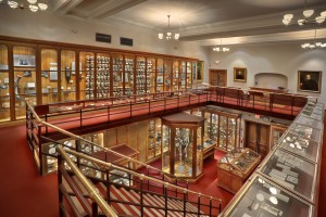 The Main Gallery of Philadelphia's Mütter Museum George Widman, 2009, for the Mütter Museum of The College of Physicians of Philadelphia 