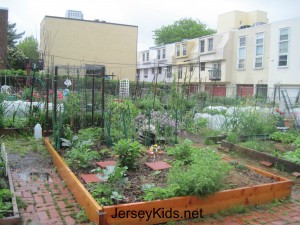 Pocket neighborhood gardens around Philadelphia