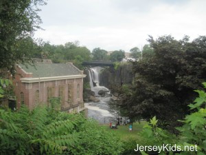 Paterson Falls