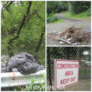 The park behind the falls is pretty, but there was a lot of garbage.