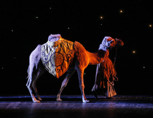 A camel heading to the living nativity scene. Photo courtesy of the Rockettes.