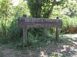 Big Brook Preserve. Copyright Deborah Abrams Kaplan