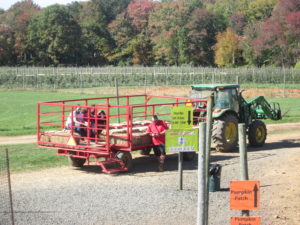 The hay ride. Copyright Deborah Abrams Kaplan