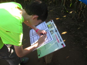 Hidden stations in the corn maze. Copyright Deborah Abrams Kaplan