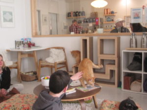 KitTea Cat Lounge Reservations — KitTea Cat Lounge & Cafe